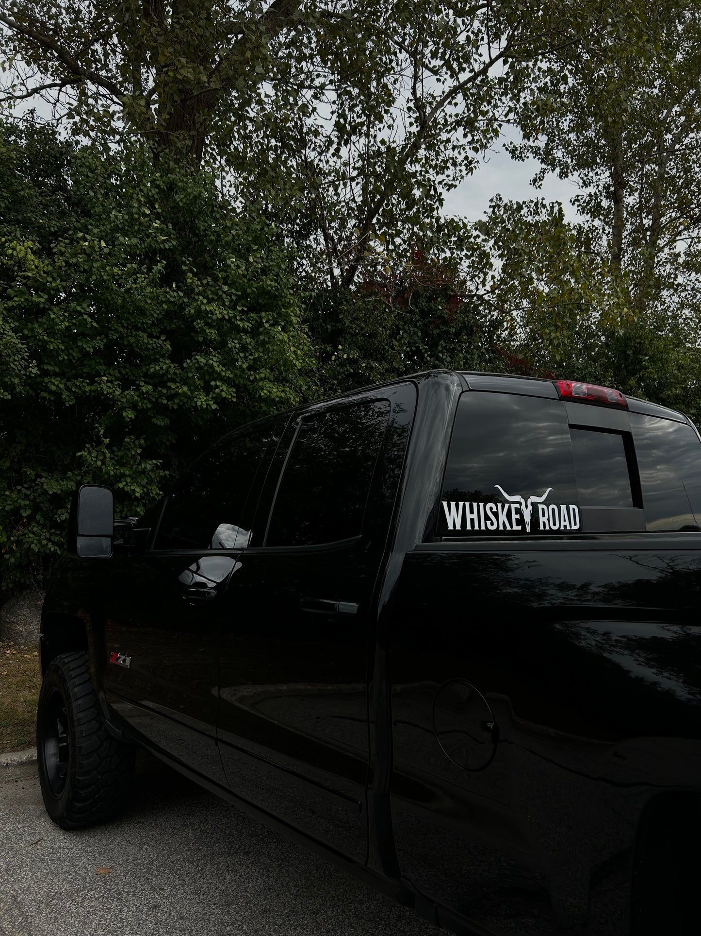 Whiskey Road Longhorn Decal