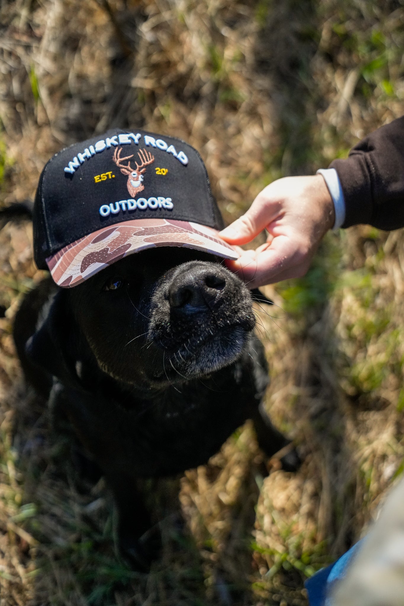 Buck Wild (Camo/Black)