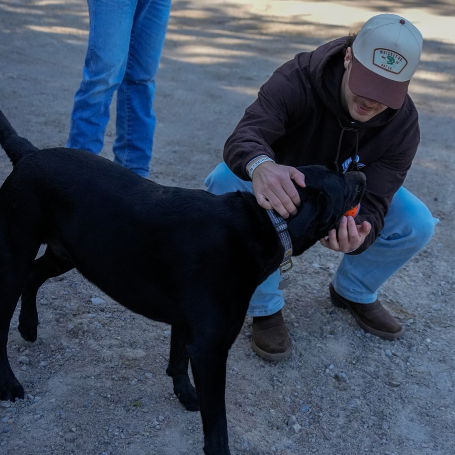 Bass Bucket (Brown/Natural)