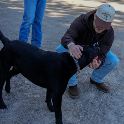Bass Bucket (Brown/Natural)